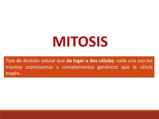 MITOSIS
Tipo de división celular que da lugar a dos células, cada una con los
mismos cromosomas y complementos genéticos que la célula
madre.
 