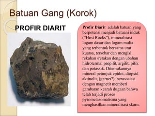 Batuan Gang (Korok)
PROFIR DIARIT Profir Diarit adalah batuan yang
berpotensi menjadi batuani induk
(“Host Rocks”), mineralisasi
logam dasar dan logam mulia
yang terbentuk bersama urat
kuarsa, tersebar dan mengisi
rekahan /retakan dengan ubahan
hidrotermal propilit, argilit, pilik
dan potassik. Ditemukannya
mineral petunjuk epidot, diopsid
aktinolit, (garnet?), berasosiasi
dengan magnetit memberi
gambaran kearah dugaan bahwa
telah terjadi proses
pyrometasomatisma yang
menghasilkan mineralisasi skarn.
 