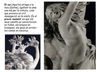 El noi (Apol·lo) atrapa a la
noia (Dafne), agafant-la amb
una mà per la cintura, cosa
que provoca un crit
desesperat en la nimfa. És el
precís moment en que els
seus cabells es converteixen
en fulles, els braços en
branques, els peus en arrels i
les cames en escorça.
 