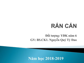 Đối tượng: YĐK năm 6
GV: BS.CK1. Nguyễn Quý Tỷ Dao
Năm học 2018-2019
 