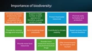 Importance of biodiversity:
Increase ecosystem
productivity; each
species in an
ecosystem has a
specific role to play
Support a larger
number of plant
species and
therefore, a greater
variety of crops
Protect freshwater
resources
Promote soils
formation and
protection
Provide for nutrient
storage and recycling
Aid in breaking down
pollutants
Contribute to climate
stability
Speed recovery from
natural disasters
Provide more food
resources
Provide more
medicinal resources
and pharmaceutical
drugs
Offer environments
for recreation and
tourism
 