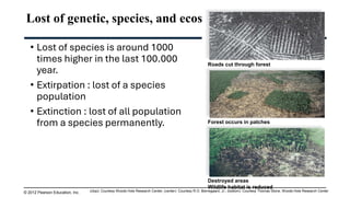 • Lost of species is around 1000
times higher in the last 100.000
year.
• Extirpation : lost of a species
population
• Extinction : lost of all population
from a species permanently.
Lost of genetic, species, and ecosystem biodiversity
© 2012 Pearson Education, Inc.
Roads cut through forest
Forest occurs in patches
Destroyed areas
Wildlife habitat is reduced
c(top): Courtesy Woods Hole Research Center; (center): Courtesy R.O. Bierregaard, Jr.; (bottom): Courtesy Thomas Stone, Woods Hole Research Center
 