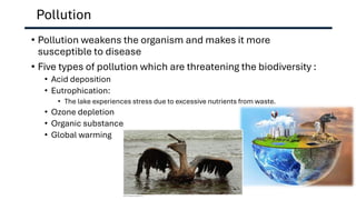 Pollution
• Pollution weakens the organism and makes it more
susceptible to disease
• Five types of pollution which are threatening the biodiversity :
• Acid deposition
• Eutrophication:
• The lake experiences stress due to excessive nutrients from waste.
• Ozone depletion
• Organic substance
• Global warming
 