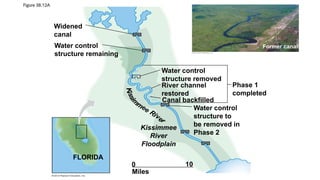Figure 38.12A
Widened
canal
Water control
structure remaining
Water control
structure removed
River channel
restored
Phase 1
completed
Water control
structure to
be removed in
Phase 2
Miles
Kissimmee
River
Floodplain
Canal backfilled
FLORIDA
0 10
Former canal
 