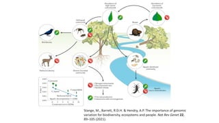 Stange, M., Barrett, R.D.H. & Hendry, A.P. The importance of genomic
variation for biodiversity, ecosystems and people. Nat Rev Genet 22,
89–105 (2021).
 