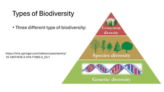 Types of Biodiversity
• Three different type of biodiversity:
https://link.springer.com/referenceworkentry/
10.1007/978-3-319-71065-5_53-1
 