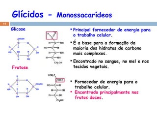 Glícidos -

Monossacarídeos

11

Glicose

 Principal fornecedor de energia para
o trabalho celular.
 É a base para a formação da
maioria dos hidratos de carbono
mais complexos.

Frutose

 Encontrado no sangue, no mel e nos
tecidos vegetais.
 Fornecedor de energia para o
trabalho celular.
 Encontrado principalmente nos
frutos doces.

 