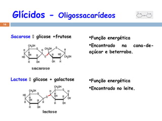 Glícidos -

Oligossacarídeos

14

Sacarose  glicose +frutose

Função energética
Encontrado na cana-deaçúcar e beterraba.

Lactose  glicose + galactose

Função energética
Encontrado no leite.

 