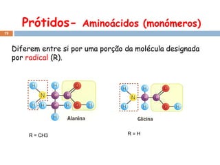 Prótidos-

Aminoácidos (monómeros)

19

Diferem entre si por uma porção da molécula designada
por radical (R).

R = CH3

R=H

 