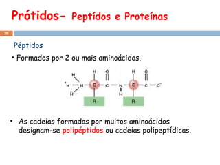 Prótidos-

Peptídos e Proteínas

20

Péptidos
• Formados por 2 ou mais aminoácidos.

• As cadeias formadas por muitos aminoácidos
designam-se polipéptidos ou cadeias polipeptídicas.

 