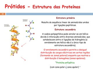 Prótidos -

Estrutura das Proteínas

23

Estrutura primária
Resulta da sequência linear de aminoácidos unidos
por ligações peptídicas.
Estrutura secundária
A cadeia polipeptídica pode enrolar-se em hélice
devido à interacção entre diversos aminoácidos, que
estabelecem entre si ligações de hidrogénio (o
enrolamento em hélice não é o único tipo de
estrutura secundária).
O enrolamento secundário permite a desigual
distribuição de cargas eléctricas em certas regiões
(formando-se zonas polares) enquanto que noutras a
distribuição é homogénea (zonas apolares).
ˆProteína anfipática
(com zona polar e zona apolar)

ˆ

 