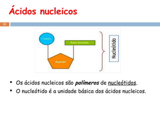 Ácidos nucleicos
31

 Os ácidos nucleicos são polímeros de nucleótidos.
 O nucleótido é a unidade básica dos ácidos nucleicos.

 