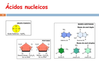 Ácidos nucleicos
33

 