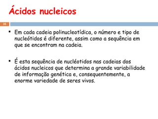 Ácidos nucleicos
35

 Em cada cadeia polinucleotídica, o número e tipo de
nucleótidos é diferente, assim como a sequência em
que se encontram na cadeia.
 É esta sequência de nucléotidos nas cadeias dos
ácidos nucleicos que determina a grande variabilidade
de informação genética e, consequentemente, a
enorme variedade de seres vivos.

 