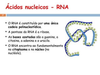 Ácidos nucleicos - RNA
37

 O RNA é constituído por uma única
cadeia polinucleotídica.
 A pentose do RNA é a ribose.
 As bases azotadas são a guanina, a
citosina, a adenina e o uracilo.
 O RNA encontra-se fundamentalmente
no citoplasma e no núcleo (no
nucléolo).

 