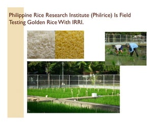 Biotechnology in the Philippines - NAST | PDF