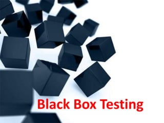 Black Box Testing
 