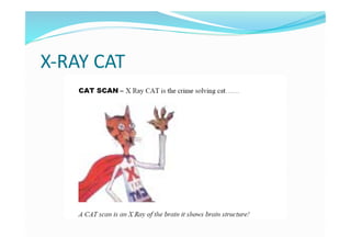 X‐RAY CAT 
 