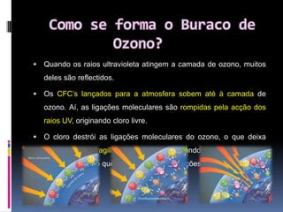  Alterações no sistema ImunitárioAlém disso, provocam também:         Danos nas colheitas        Problemas nos seres vivos marítimos     O agravamento do aquecimento global acentua a diminuição da camada do ozono!