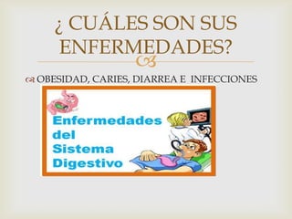 
¿ CUÁLES SON SUS
ENFERMEDADES?
 OBESIDAD, CARIES, DIARREA E INFECCIONES
 