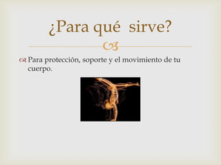 
¿Para qué sirve?
 Para protección, soporte y el movimiento de tu
cuerpo.
 