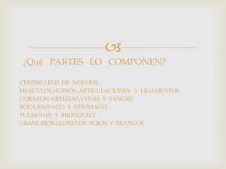 
¿Qué PARTES LO COMPONEN?
CEREBRO,RED DE NERVIOS.
MUSCULOS,HUESOS ,ARTICULACIONES Y LIGAMENTOS.
CORAZON,ARTERIAS,VENAS Y SANGRE.
BOCA,ESOFAGO Y ESTOMAGO.
PULMONES Y BRONQUEO.
GRANGRIOS,GLOBULOS ROJOS Y BLANCOS.
 
