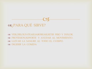 
¿PARA QUÉ SIRVE?
 VER,OIR,OLFATEAR,SABOREAR,SETIR FRIO Y DOLOR.
 PROTEXION,SOPORTE Y AYUDAR AL MOVIMIENTO.
 LLEVAR LA SANGRE AL TODO EL CUERPO.
 DIGERIR LA COMIDA
 