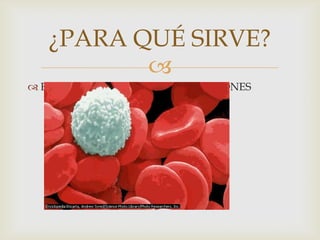 
¿PARA QUÉ SIRVE?
 EVITAR EMFERMEDADES O INFEXIONES
 