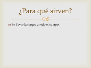 
¿Para qué sirven?
 En llevar la sangre a todo el cuerpo.
 