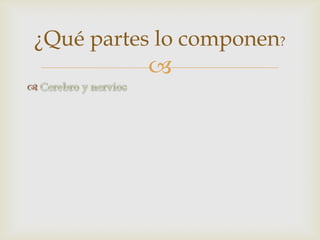 
¿Qué partes lo componen?
 