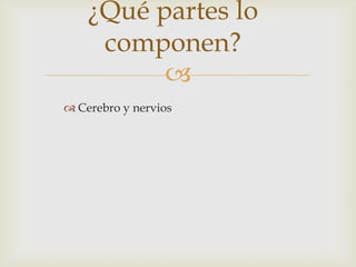 
¿Qué partes lo
componen?
 Cerebro y nervios
 