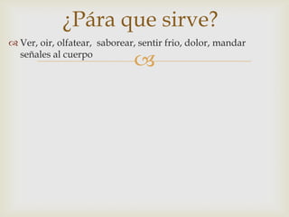 
¿Pára que sirve?
 Ver, oir, olfatear, saborear, sentir frio, dolor, mandar
señales al cuerpo
 