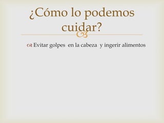 
¿Cómo lo podemos
cuidar?
 Evitar golpes en la cabeza y ingerir alimentos
 