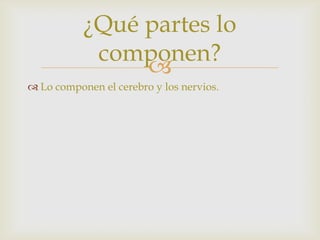 
¿Qué partes lo
componen?
 Lo componen el cerebro y los nervios.
 