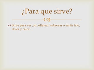 
¿Para que sirve?
 Sirve para ver ,oir ,olfatear ,saborear o sentir frio,
dolor y calor.
 