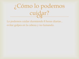 
¿Cómo lo podemos
cuidar?
Lo podemos cuidar durmiendo 8 horas diarias ,
evitar golpes en la cabeza y no fumando.
 