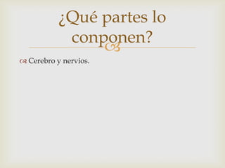 
¿Qué partes lo
conponen?
 Cerebro y nervios.
 
