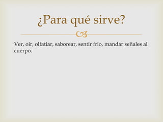 
¿Para qué sirve?
Ver, oir, olfatiar, saborear, sentir frio, mandar señales al
cuerpo.
 