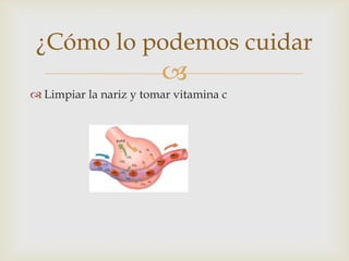 
¿Cómo lo podemos cuidar
 Limpiar la nariz y tomar vitamina c
 