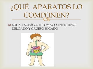 
¿QUÉ APARATOS LO
COMPONEN?
 BOCA, ESOFÁGO, ESTOMAGO, INTESTINO
DELGADO Y GRUESO HIGADO
 