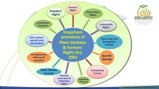 Farmers Rights and breeders Rights, 2929 October 2012, Uruguay
  Farmers Rights and breeders Rights, October 2012, Uruguay
 