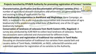 Projects launched by PPV&FR Authority for promoting registration of Farmers’ Varieties
  Projects launched by PPV&FR Authority for promoting registration of Farmers’ Varieties
Characterisation, purification and documentation of Farmers’ varieties (FVs) : A
number of agricultural research institutions and universities are generating data
and assisting in filing of applications for FVs
Rice biodiversity conservation in Jharkhand and Meghalaya: Gene Campaign, an
NGO, is involved in the in-situ and ex-situ conservation and characterisation of agro
biodiversity in the predominantly tribal state of Jharkhand, one of the 22 agro-
biodiversity hotspots.
Conservation of landraces of colocasia from North Eastern Hills, Nagaland: A
survey was conducted by ICAR NEH to collect local landraces of colocasia. Twenty
two accessions were collected and characterised for different traits.
Characterisation and registration of traditional rice varieties in Tamil Nadu:
Focussing on characterization of traditional rice varieties from coastal belt and
cauvery delta of Tamil Nadu, VAANGHAI, an NGO, collected 69 varieties and
submitted application for registration of six varieties to the Authority.

                                                                          Farmers Rights and breeders Rights, 2929 October 2012, Uruguay
                                                                            Farmers Rights and breeders Rights, October 2012, Uruguay
 