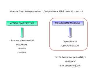 Visto che l'osso è composto da ca. 1/3 di proteine e 2/3 di minerali, si parla di
METABOLISMO PROTEICO METABOLISMO MINERALE
- Struttura e biosintesi del
COLLAGENE
- Elastina
- Laminina
Deposizione di
FOSFATO DI CALCIO
9-12% fosfato inorganico (PO4
3-)
19-26% Ca2+
2-4% carbonato (CO3
2-)
 