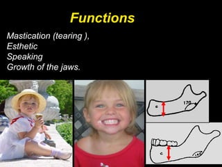 Functions
Mastication (tearing ),
Esthetic
Speaking
Growth of the jaws.
 