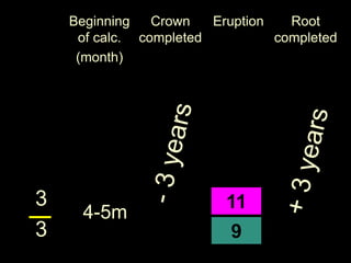 Root
completed
EruptionCrown
completed
Beginning
of calc.
(month)
3
3 9
4-5m
11
 