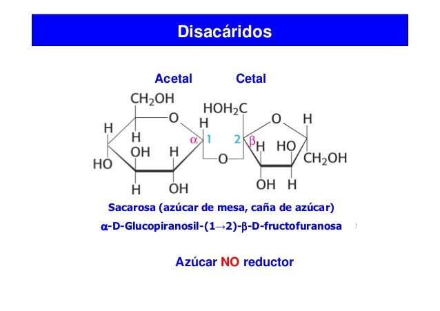 4 carbohidratos y lípidos