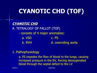 CYANOTIC CHD (TOF) <ul><li>CYANOTIC CHD </li></ul><ul><li>A. TETRALOGY OF FALLOT (TOF) </li></ul><ul><li>- consists of 4 m...