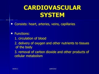 CARDIOVASCULAR   SYSTEM <ul><li>Consists: heart, arteries, veins, capillaries </li></ul><ul><li>Functions:  </li></ul><ul>...