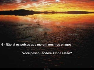 6 - Não vi os peixes que moram nos rios e lagos.   Você pescou todos? Onde estão? 