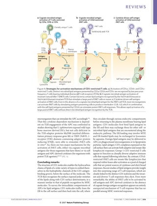 REVIEWS

                       a Cognate microbial-antigen                   b Cognate microbial-antigen               c Cytokine-driven self-antigen
                         activation of T cells restricted               activation of CD1d-restricted            activation of CD1d-restricted
                         by CD1a, CD1b or CD1c                          iNKT cells                               iNKT cells

                                           Clonally unique T cells                        iNKT cells

                               TCR                                                     Vα14(Vα24)–Jα18 TCR




                           CD1a,         Lipid               Plasma                                            TLR
                           CD1b                                                                                              IL-12
                           or CD1c                           membrane    CD1d                                                          CD1d

                        Antigen-                     Microorganism
                        presenting
                        cell


                                                     Phagosome




                                                                                                                  Self-lipid antigen
                                      Saposin     Microbial-lipid
                         Lysosome                 antigen

                       Figure 4 | Strategies for activation mechanisms of CD1-restricted T cells. a | Activation of CD1a-, CD1b- and CD1c-
                       restricted T cells. Distinct microbial lipid antigens presented by CD1a, CD1b and CD1c are recognized by low Immunology
                                                                                                                         Nature Reviews | precursor
                       frequency T cells bearing individual diverse αβ T-cell receptors (TCRs). b | Cognate microbial-antigen activation of
                       invariant natural killer T (iNKT) cells. Certain bacteria contain lipid antigens recognized by the Vα14–Jα18 (mouse) or
                       Vα24–Jα18 (human) invariant TCR that stimulate a large pool of iNKT cells en masse. c | Cytokine-driven self-antigen
                       activation of iNKT cells. Even in the absence of a cognate microbial lipid antigen for the iNKT-cell TCR, most microorganisms
                       can activate iNKT cells by stimulating antigen-presenting cells to produce interleukin-12 (IL-12), which in combination
                       with the self-lipid antigens presented by CD1d can stimulate potent iNKT-cell responses. This allows rapid activation of a
                       large pool of iNKT cells without direct microbial lipid antigen recognition by the TCR.



                       microorganism that can stimulate the APC accordingly118.         they circulate through various endocytic compartments
                       That this cytokine-dependent mechanism is depend-                before returning to the plasma membrane bearing lipid
                       ent on TLR engagement of the APC was confirmed in                antigens. CD1 molecules first bind lipid antigens in
                       studies showing that S. typhimurium-exposed wild-type            the ER and then may exchange these for other self- or
                       bone-marrow-derived DCs, but not cells deficient in              microbial-lipid antigens that are encountered along the
                       the TLR-adaptor proteins MyD88 (myeloid differen-                endocytic pathway. The ER loading may involve MTP,
                       tiation primary-response gene 88) or TRIF (Toll/IL-1-            and ER-loaded lipids may be exchanged in lysosomes
                       receptor (TIR)-domain-containing adaptor protein                 by saposins. Foreign lipid antigens may be delivered to
                       inducing IFNβ), were able to stimulate iNKT cells                APCs in phagocytosed microorganisms or in lipoprotein
                       in vitro10. So, there are two major mechanisms for the           particles. Lipid-antigen–CD1 complexes expressed on the
                       activation of iNKT cells, either via cognate microbial           cell surface then can activate both adaptive and innate-like
                       antigens (for those organisms that have them) or via self        lymphocyte responses. Group-1-CD1-restricted T cells
                       antigens and APC-derived cytokines (for organisms with           appear to function as clonally diverse adaptive immune
                       potent TLR agonists)118,121 (FIG. 4).                            cells that expand following infection. By contrast, CD1d-
                                                                                        restricted iNKT cells are innate-like lymphocytes that
                       Concluding remarks                                               respond within hours after activation as a pool of charged
                       The structure of CD1 molecules enables the hydrocarbon           cells that are potent sources of cytokines and elicit broad
                       chains of lipids of a wide variety of types to embed them-       responses. Recent studies of lipid antigens provide insight
                       selves in the hydrophobic channels of the CD1 antigen-           into this surprising range of T-cell responses, which are
                       binding groove, below the surface of the molecule. The           closely linked to the distinct CD1 isoforms and the invari-
                       TCR then recognizes the surface-exposed polar moieties           ant and diverse T-cell responses they elicit. Even more
                       of the lipids along with CD1 surface determinants, in a          remarkably, the ability of iNKT cells to be activated by
                       manner similar to that of peptide recognition by MHC             self antigens and APC-derived cytokines in the absence
                       molecules. To survey the intracellular compartments of           of cognate foreign antigen recognition appears an entirely
                       APCs for lipid antigens, CD1 molecules traffic from the          unexpected mechanism of T-cell response that has no
                       ER to the cell surface and then back into the cell, where        parallel among MHC-restricted responses.


nature reviews | immunology	                                                                                   volume 7 | december 2007 | 939
                                                  © 2007 Nature Publishing Group
 